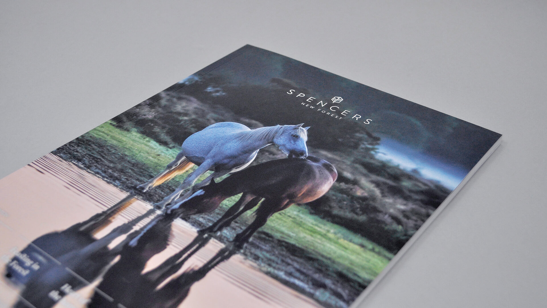 Spencers New Forest Magazine Publishing | We Are 778 Bournemouth Poole Branding Graphic Design Web Development Creative Agency